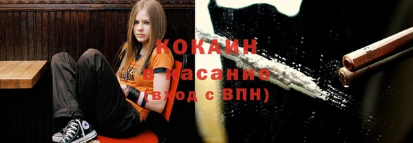 МДПВ Алзамай