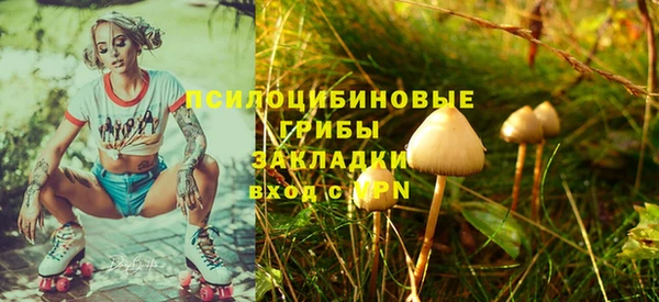 PSILOCYBIN Алексин