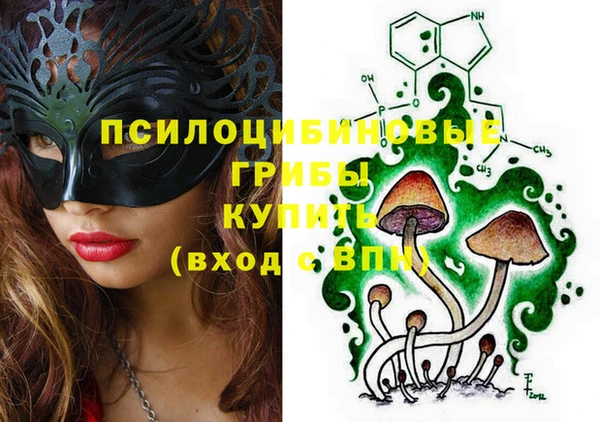 МДПВ Алзамай