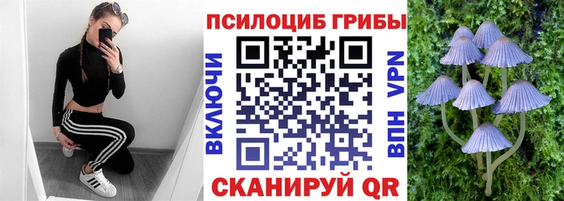 Галлюциногенные грибы прущие грибы  ссылка на мегу ссылки  Нестеров  закладки 